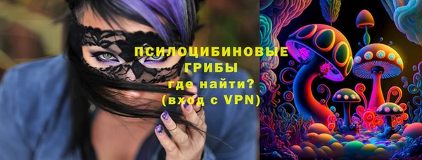 синтетический гашиш Болотное