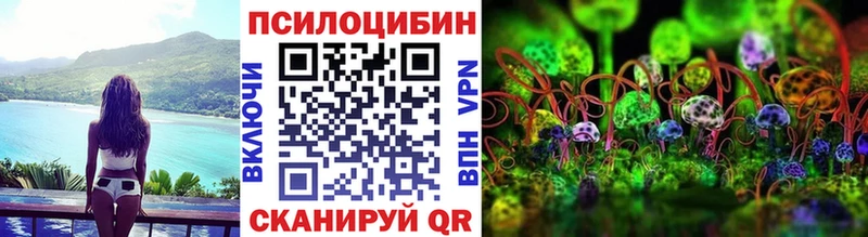 Купить  Черняховск  Псилоцибиновые грибы MAGIC MUSHROOMS 